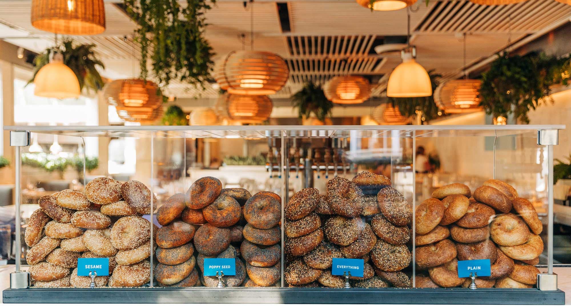 A selection of bagels, piled high, in clear display cases